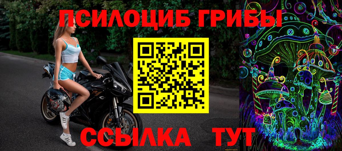 Псилоцибиновые грибы GOLDEN TEACHER  Вход с VPN  магазин  наркотиков  Зеленогорск 